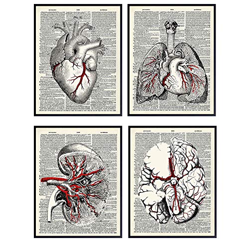 Анатомия на човека, Ретро Речник органи, Стенно изкуство - Набор от Картина в стил Изтъркан шик 8x10 за медицинска клиника, офис,