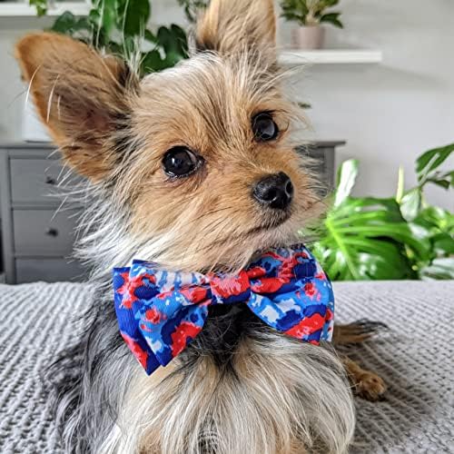 Комплект за кучета Huxley & Kent 4 юли | Много Голяма | All Star Pawdka и American Вратовръзка Боядисват папийонка | Плюшен, Скрипучая,