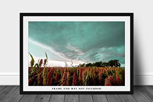 Снимка в стил Кънтри, Принт (без рамка), Изображението на гръмотевична буря над Цветни царевично поле Летен ден във фермата