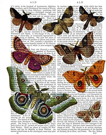 За да се чувстват като у дома си CANVAS-FRAMED-with-AMERICAN-BOX-Moth-Plate-2-Animals-&-Nature-wall-decore-on-wood-frame-Vertical-27x21_in