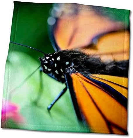 3 Нарисувай пъстра пеперуда Монарх Danaus Plexippus. - Кърпи (twl-216207-3)
