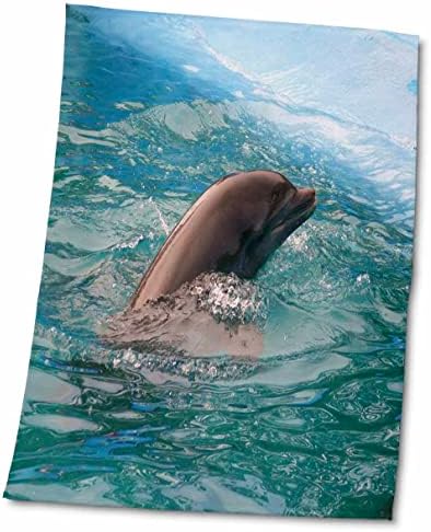 3dRose Florene Подводни животни - Делфин, Подскачащи В залива - Кърпи (twl-62341-1)