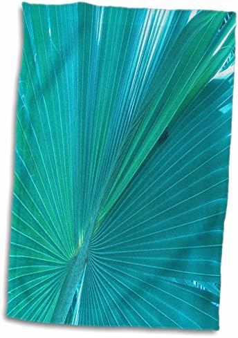 Триизмерна фигура фен от Флоридской палми в Акваволнах (twl-221028-3)