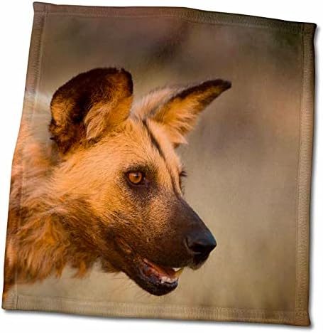 3дРоуз Данита Делимонт - Дивото куче е Африка, Намибия. Дивото куче. - Кърпи (twl-247192-3)